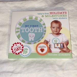 baby's first HOLIDAYS & MILESTONES belly stickers